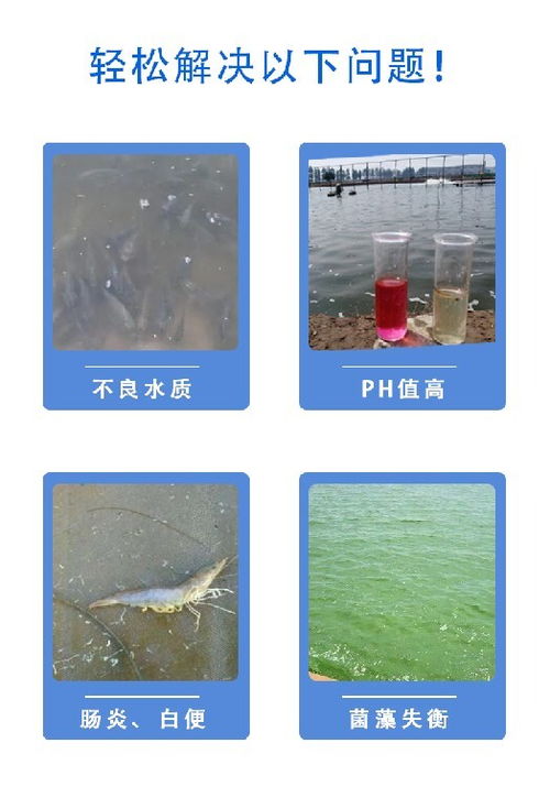 九牧渔安水产养殖用乳酸菌,鱼药乳酸菌种厂家